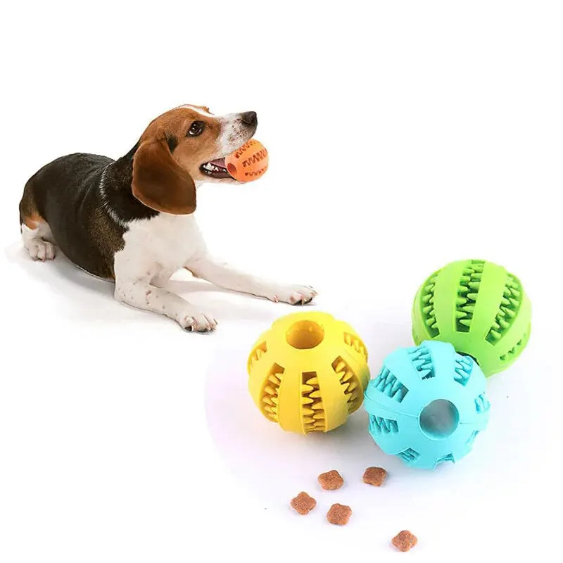 Tuggtålig Hundboll – Godisboll & Tandrengöring i Ett